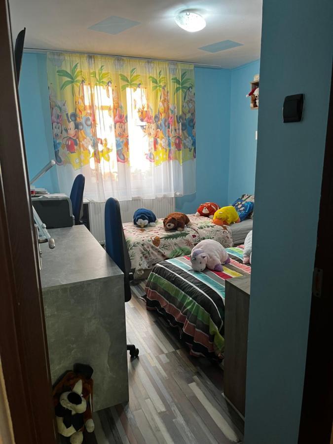 Apartament Maria 1 Băile Herculane Buitenkant foto