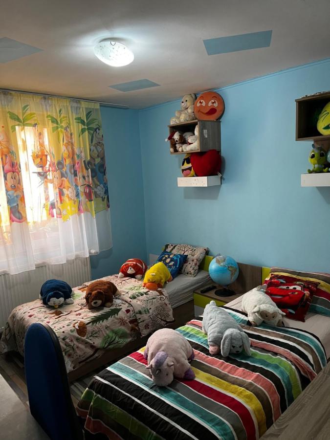 Apartament Maria 1 Băile Herculane Buitenkant foto